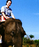 A ride on an elephant in Thailand - very exciting